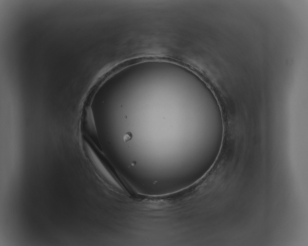 X0000100751168200806261537