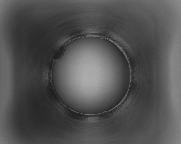 X0000100751169200806261537