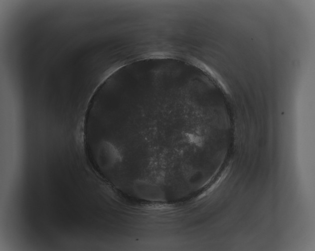 X0000100751170200806261537