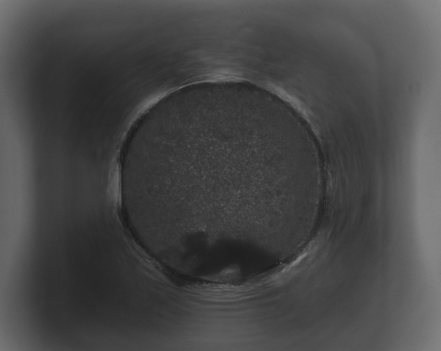 X0000100751171200806261537