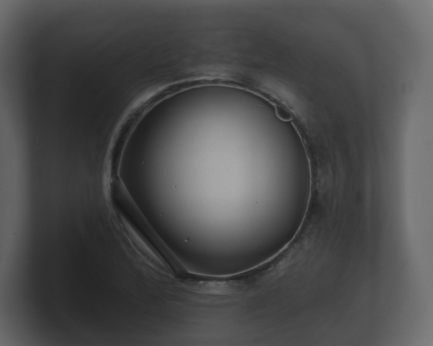 X0000100751172200806261537