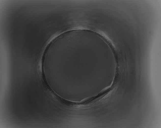 X0000100751173200806261537