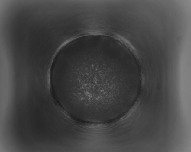 X0000100751174200806261537