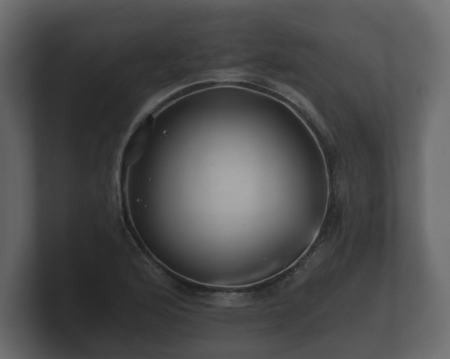 X0000100751176200806261537