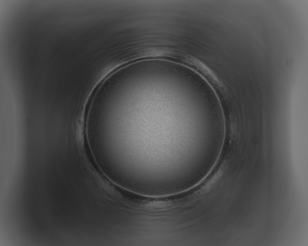 X0000100751178200806261537