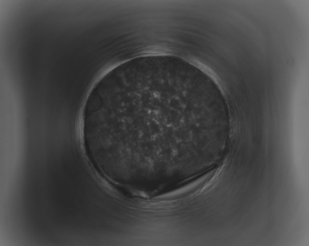 X0000100751179200806261537