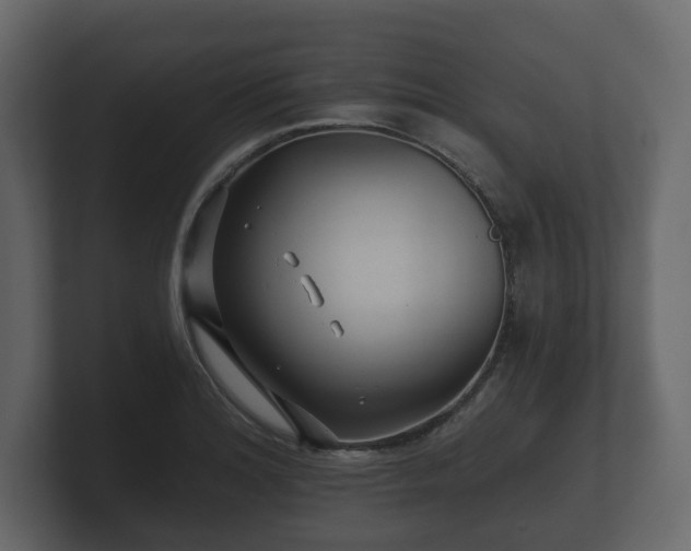 X0000100751180200806261537