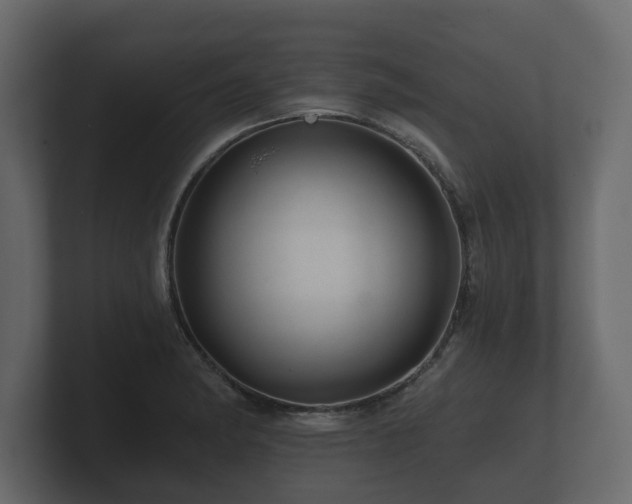 X0000100751182200806261537