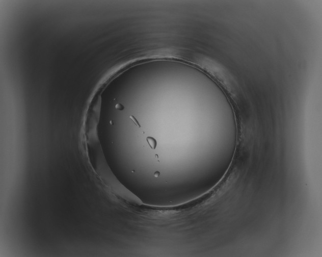 X0000100751184200806261537