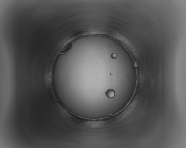 X0000100751185200806261537