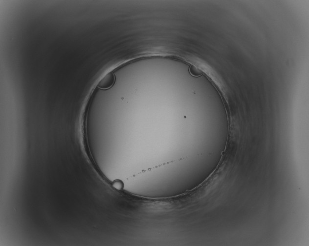 X0000100751187200806261537