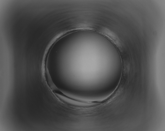 X0000100751188200806261537