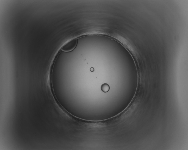 X0000100751189200806261537