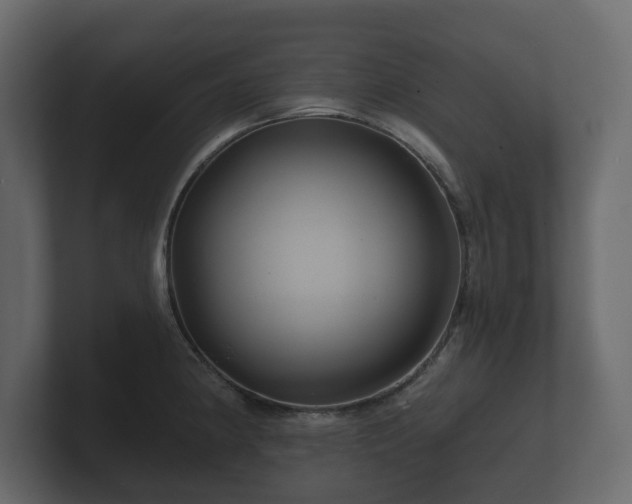 X0000100751190200806261537