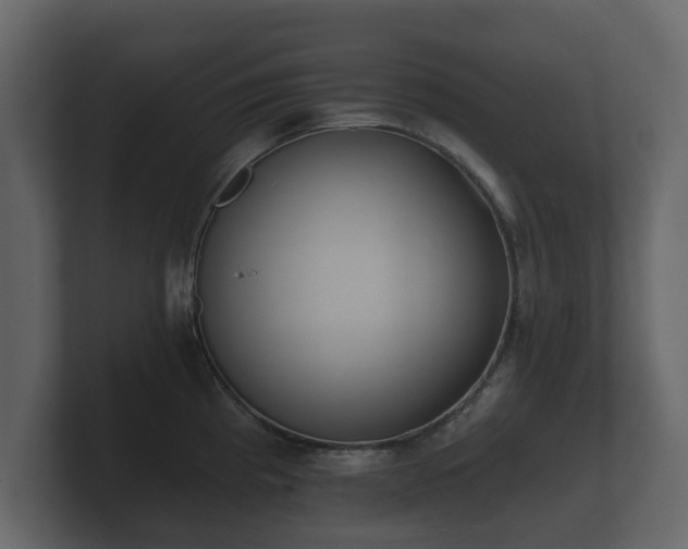 X0000100751193200806261537