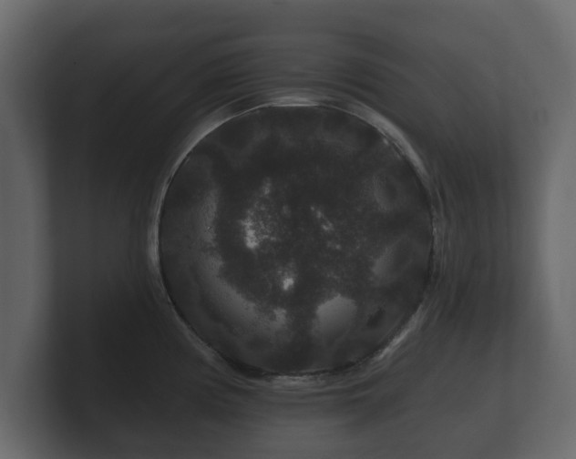 X0000100751194200806261537