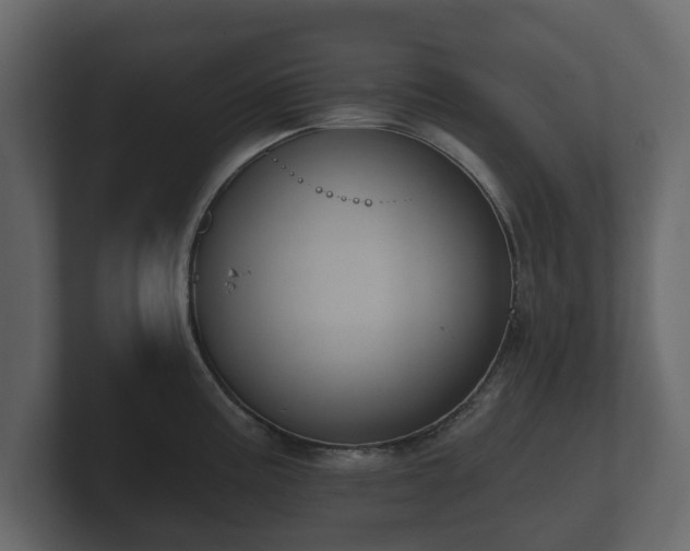 X0000100751195200806261537