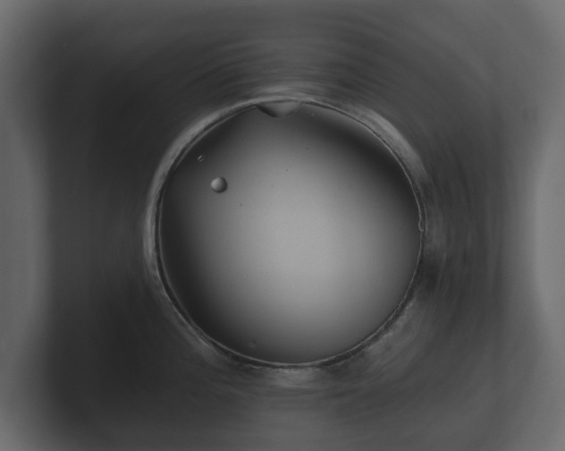 X0000100751196200806261537