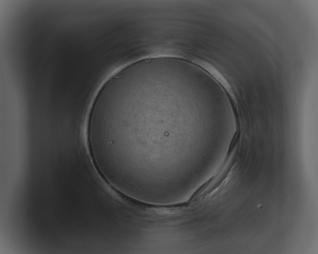 X0000100751197200806261537