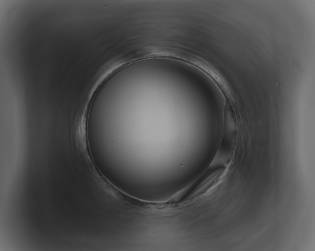 X0000100751198200806261537