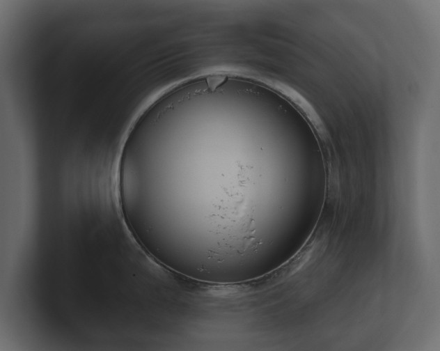 X0000100751199200806261537