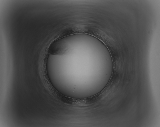 X0000100751201200806261536