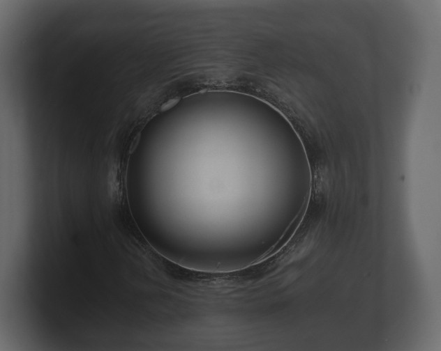 X0000100751202200806261536