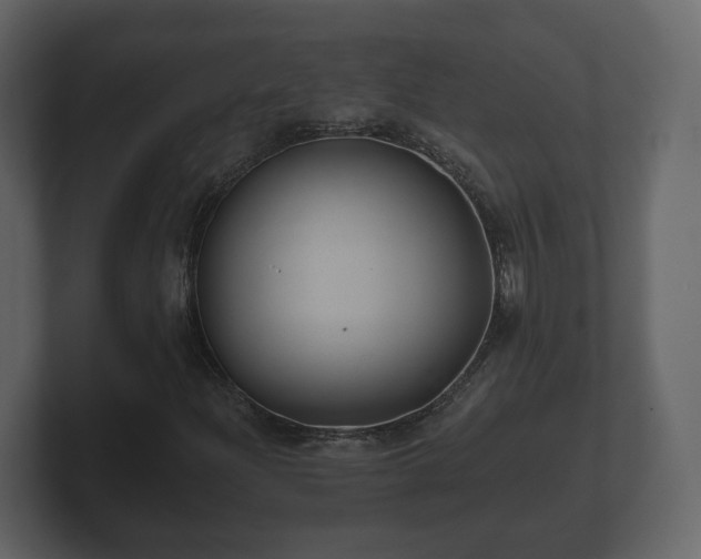 X0000100751204200806261536