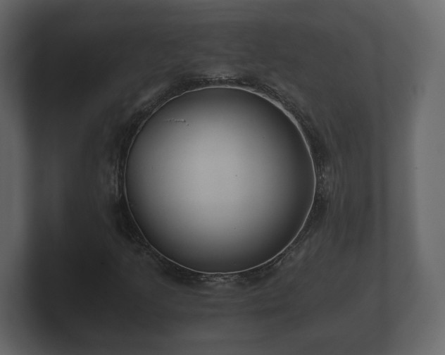 X0000100751205200806261536