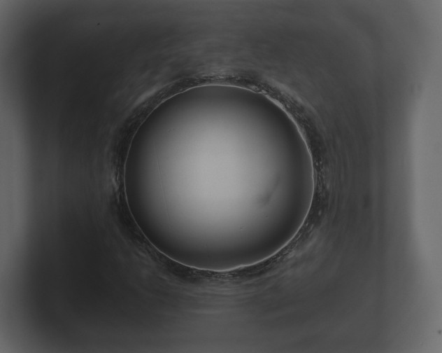 X0000100751206200806261536