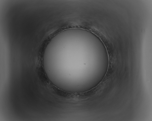 X0000100751207200806261536