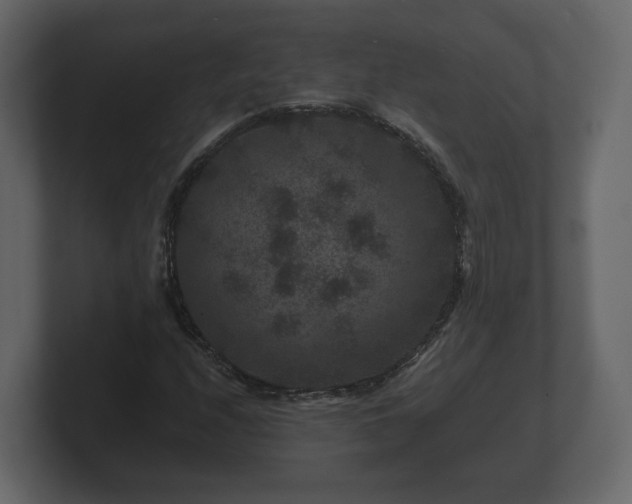 X0000100751208200806261536