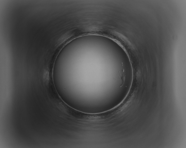 X0000100751209200806261536