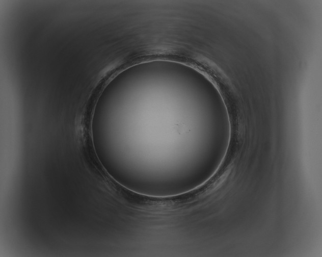 X0000100751210200806261537