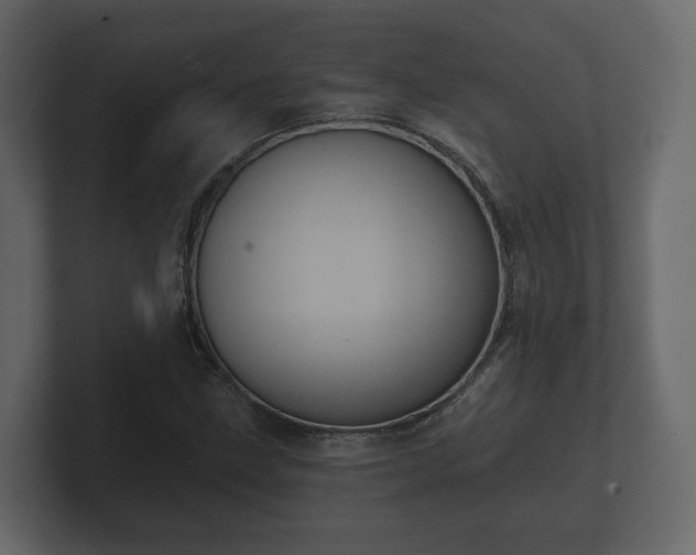 X0000100751211200806261537