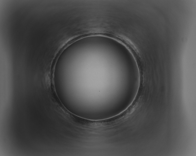 X0000100751212200806261537