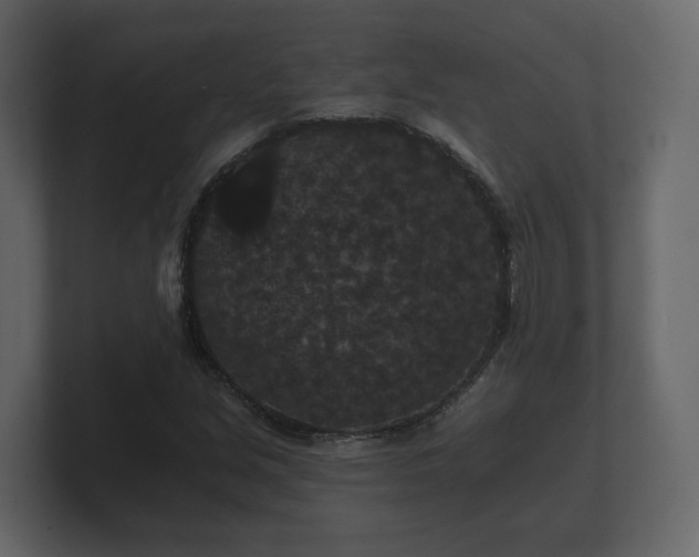 X0000100751213200806261537