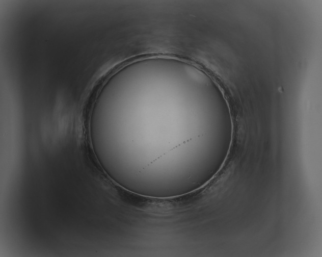 X0000100751215200806261537