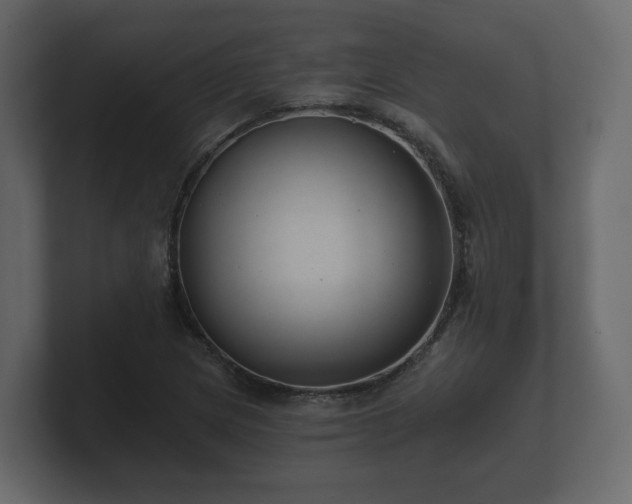 X0000100751217200806261537