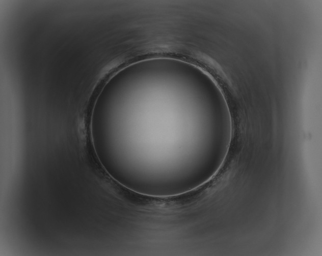 X0000100751218200806261537