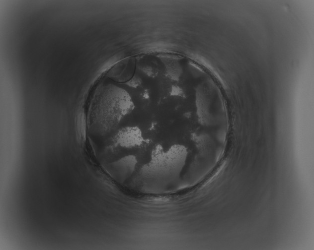 X0000100751219200806261537