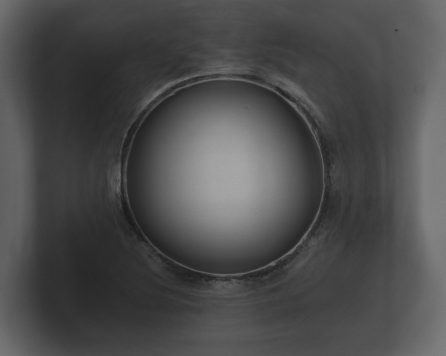 X0000100751220200806261537