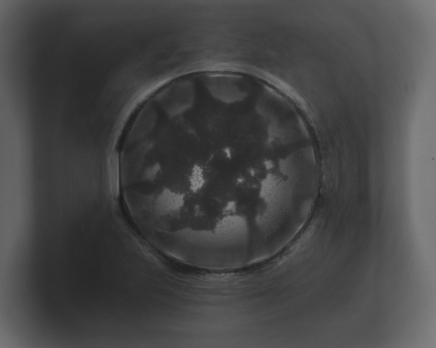 X0000100751223200806261537