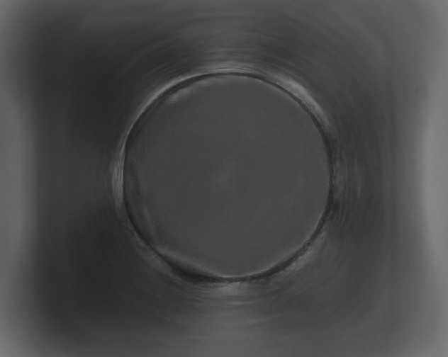 X0000100751228200806261537