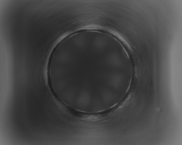 X0000100751229200806261537