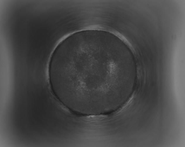 X0000100751230200806261537