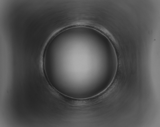 X0000100751232200806261537