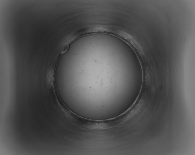 X0000100751233200806261537