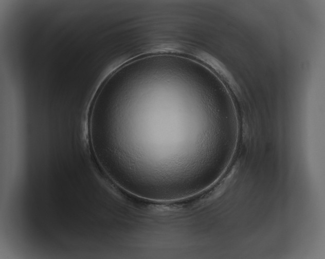 X0000100751234200806261537