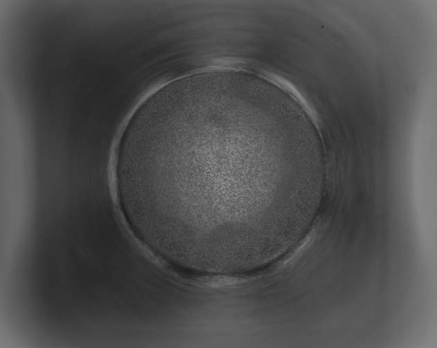 X0000100751235200806261537